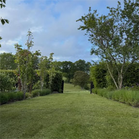 Landscaping a lawn in Dorset